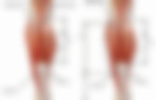 三、兰州大学第一医院皮肤科医生介绍: