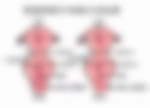 三、成都市第二人民医院整形美容科医生介绍: