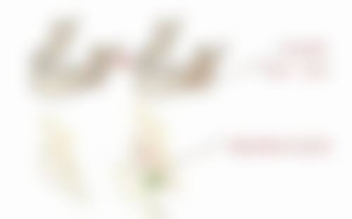 四、西安漾颜一美整形医院实例