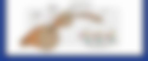 五、武汉奇佶整形医院怎么预约：