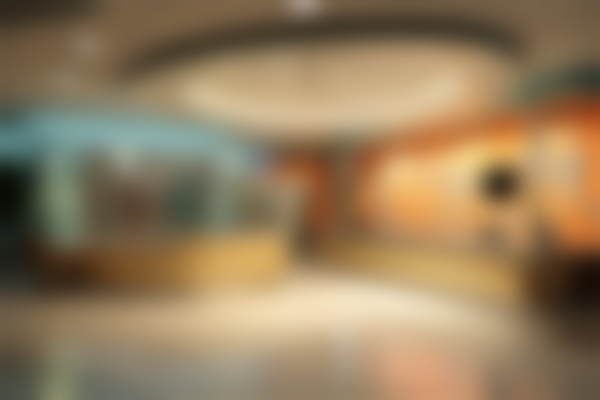 巴中市中心医院(胃肠、烧伤整形外科)