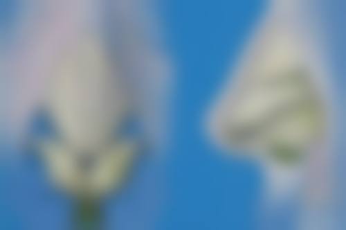 六、开封井云德医疗美容诊所价格表：（仅供参考）