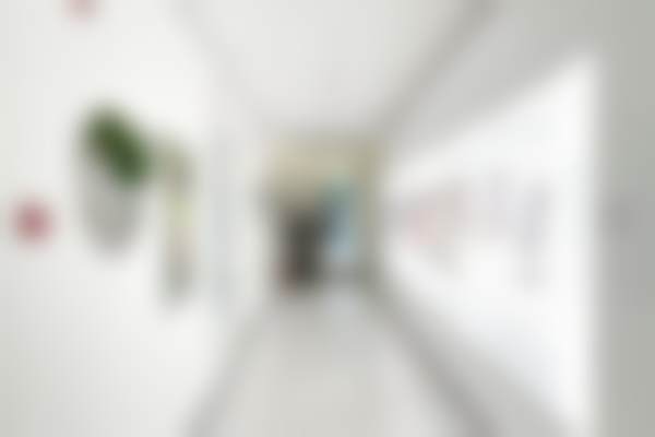 三、北京纯脂医疗美容门诊部医生介绍: