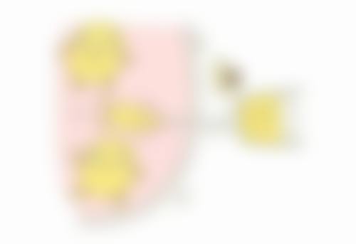 五、珠海悦意整形医院怎么预约: