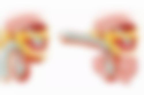 二、成都新津更美志辉整形医院正规吗？来看看医院资质：