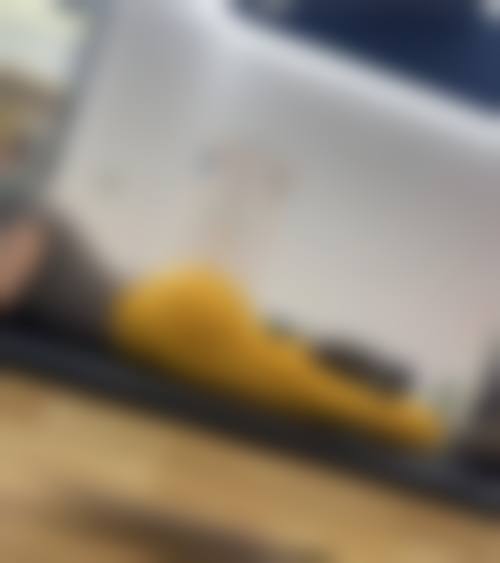 曹经栋口碑和评价