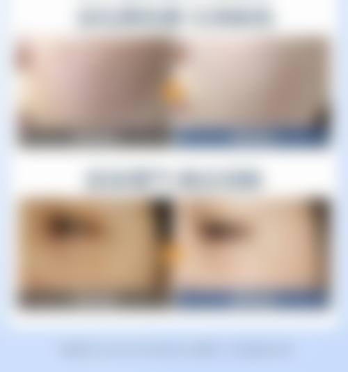 钟贵玲个人资料及简历