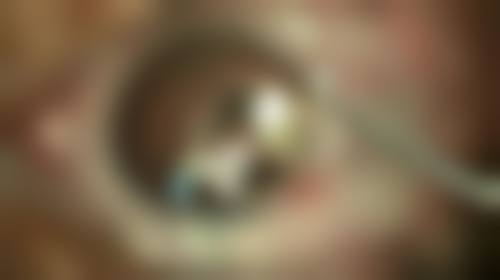 二、沈阳爱心女子医院整形科正规吗？来看看医院资质：