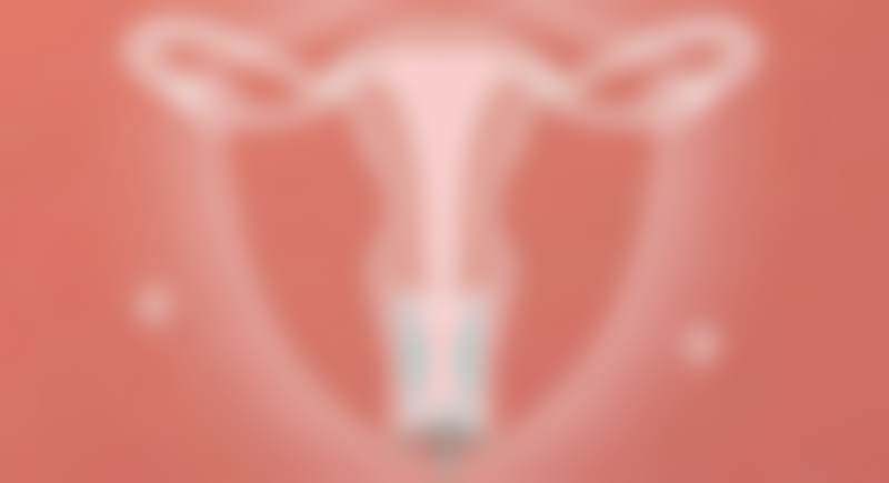 郑义刚项目价格表参考