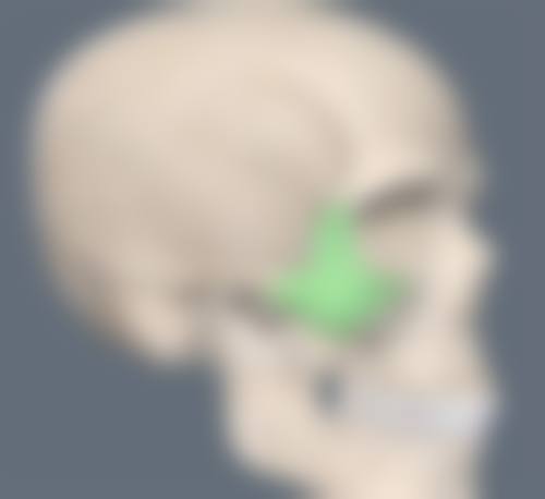 揭秘超有效超声炮去眼袋:淡化黑眼圈紧致眼周