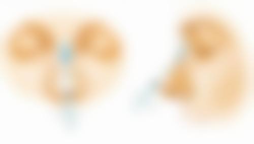 三、昆明辛德瑞拉医疗美容门诊部基本信息：