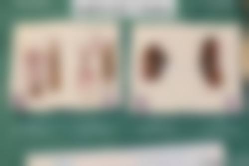 周海燕项目价格表参考