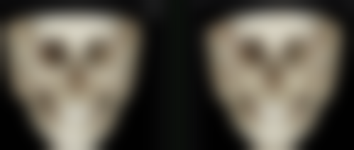 二、Jenny Clinic 京都正规吗？来看看医院资质：