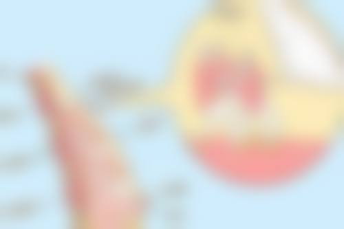 张广宇项目价格表参考