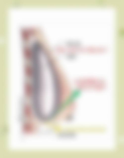 张广宇隆鼻水平怎么样可靠吗？