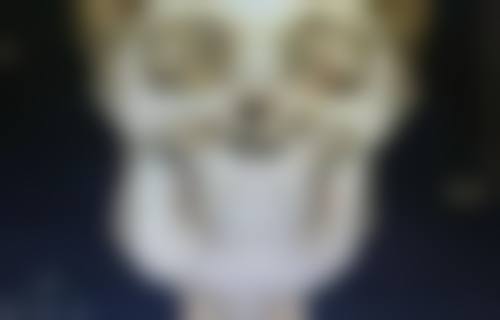 五、韩国Glam整形外科实例