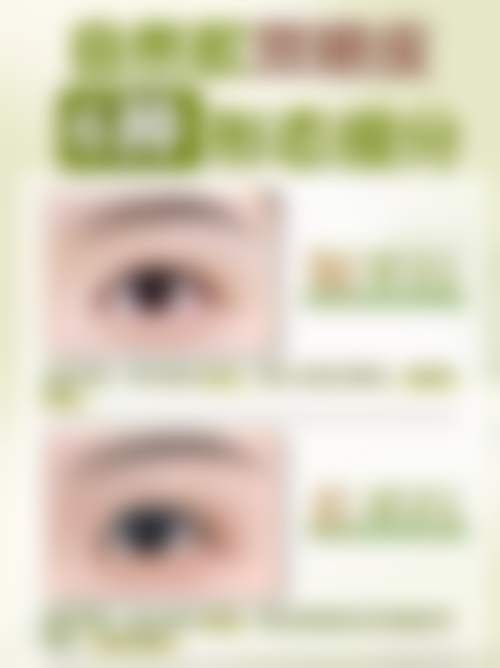 张劲松项目价格表参考