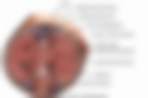 七、随州市曾都区艾琳整形医疗美容诊所真实的顾客评价如下：