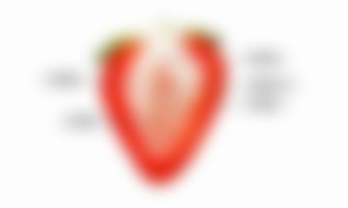 六、九江风华整形医院价格表：（仅供参考）