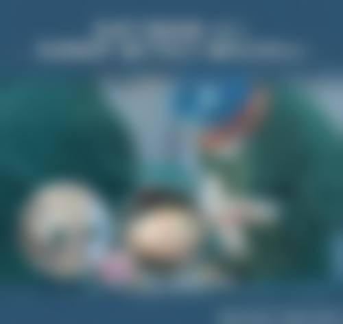 许黎平口碑和评价