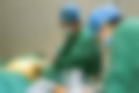 许黎平项目价格表参考