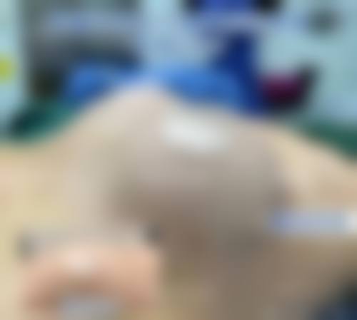 许黎平口碑和评价