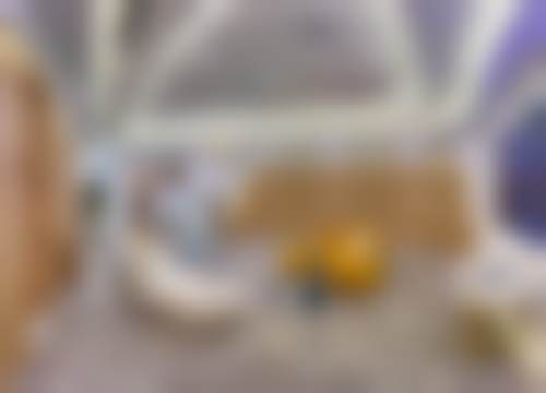 与张院的相遇和方案设计