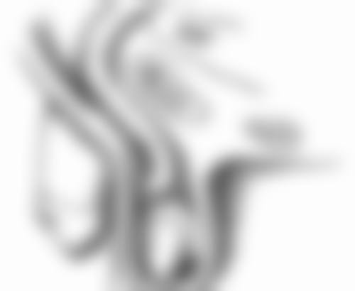 三、北京西美齿科医生介绍: