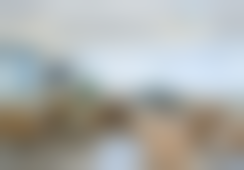 江华个人资料及简历