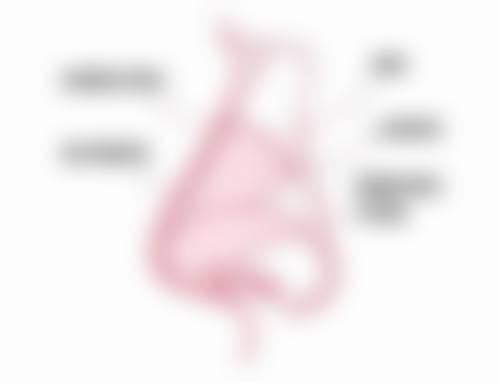 三、毕节博丽医疗整形美容诊所医生介绍: