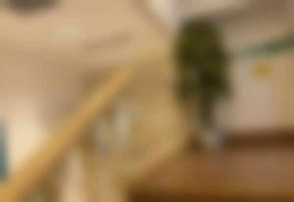 四、沈阳和平金皇后医疗美容医院开展的主要项目和特色项目: