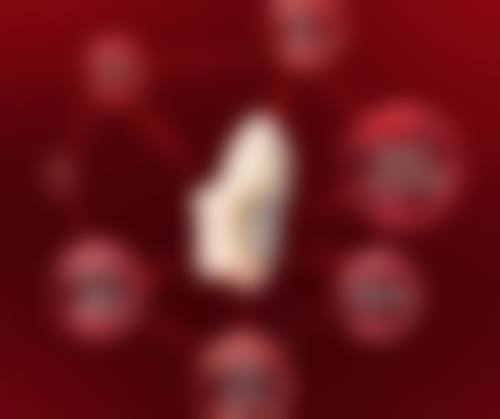 六、石家庄星源美天医疗美容医院怎么预约: