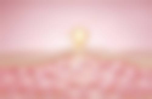 六、南京杰克斯整形美容医院怎么预约: