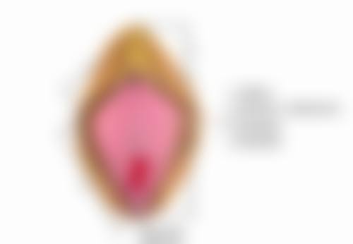 六、广州昊妍整形医院怎么预约：