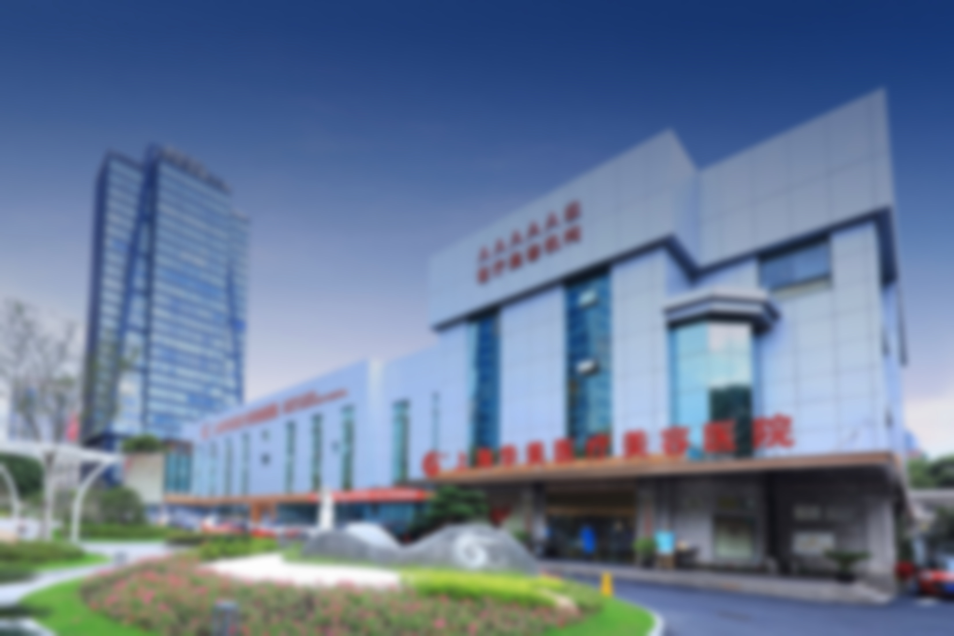 王倩项目价格表参考