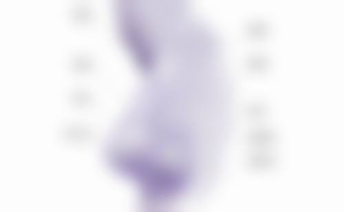 七、龙口壹美天成医疗美容医院真实的顾客评价如下：