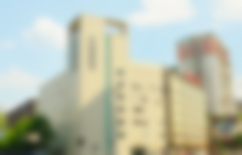 郑丹个人资料及简历