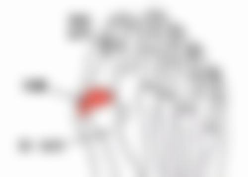 五、广州广美整形美容实例