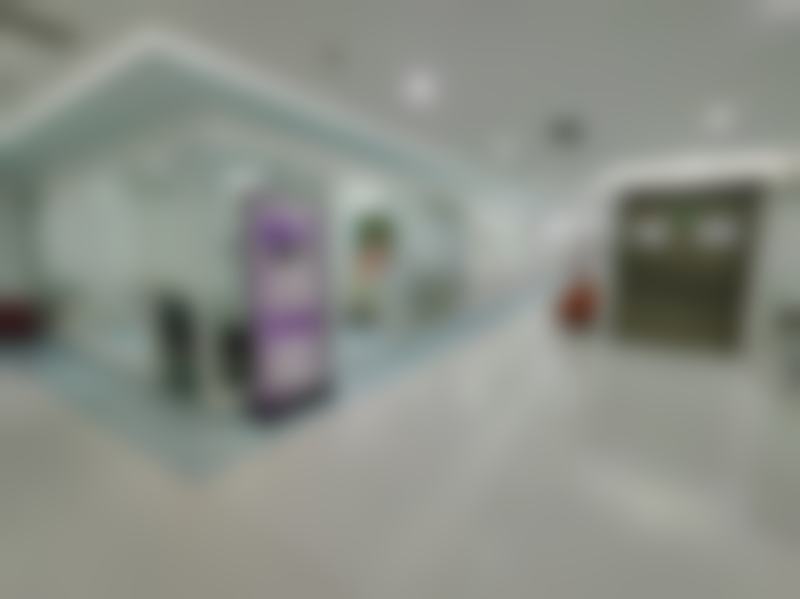 吕艳鹏项目价格表参考