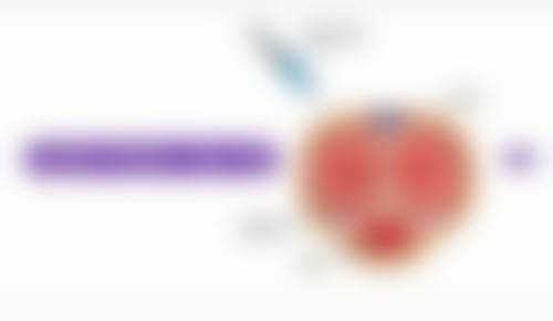 齐金杰医生在哪家医院