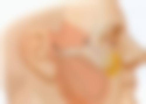 六、Moheal医院怎么预约