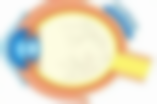 七、海南星之美医疗美容门诊价格表：（仅供参考）