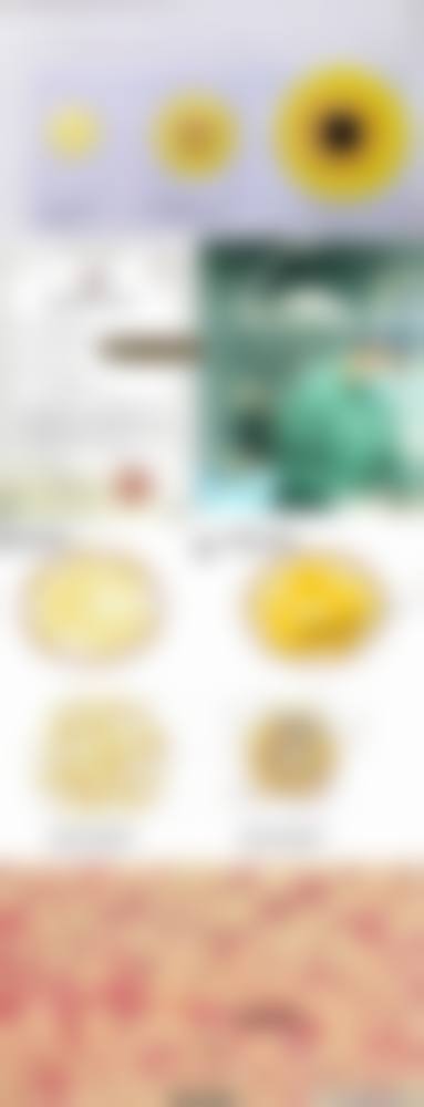 崔努医生怎么预约？