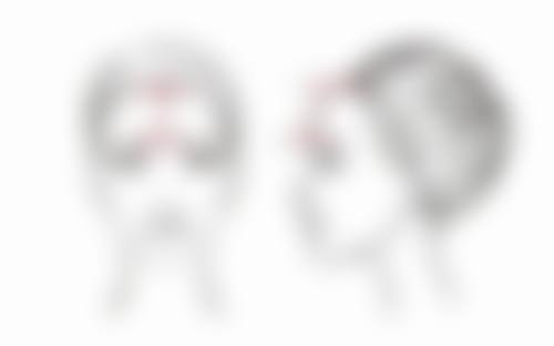 草莓套种避坑总结：选对伙伴才能共赢