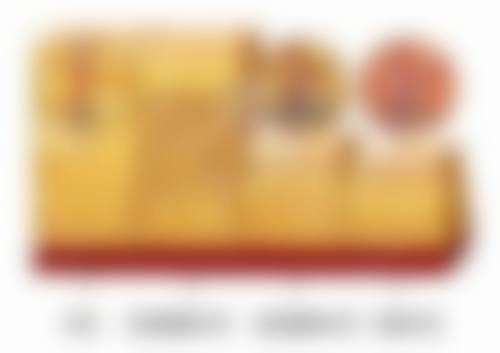 四、DNA整形外科基本信息: