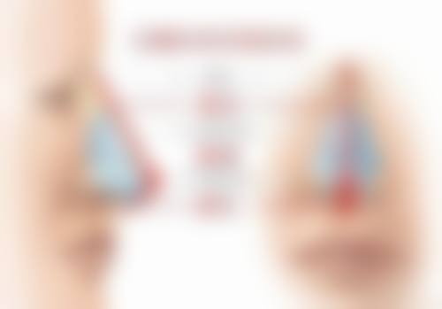 芦荟真能去除眼袋和黑眼圈吗？天然滋养助力眼部肌肤焕发光彩，淡化痕迹