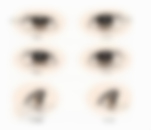 八、韩国半岛眼整容外科真实的顾客评价如下：