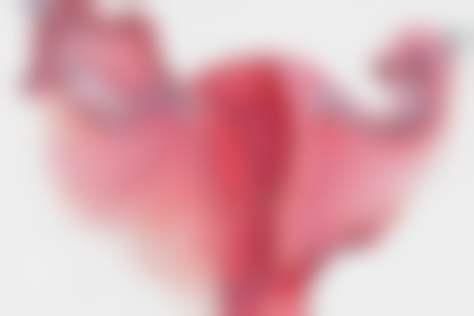 七、肇庆市圣蔻医疗美容门诊部真实的顾客评价如下：