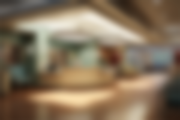 宿州灵璧县禅堂乡卫生院整形科