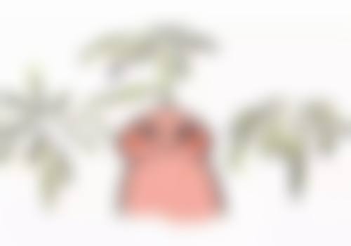 正规方法助你告别眼袋困扰